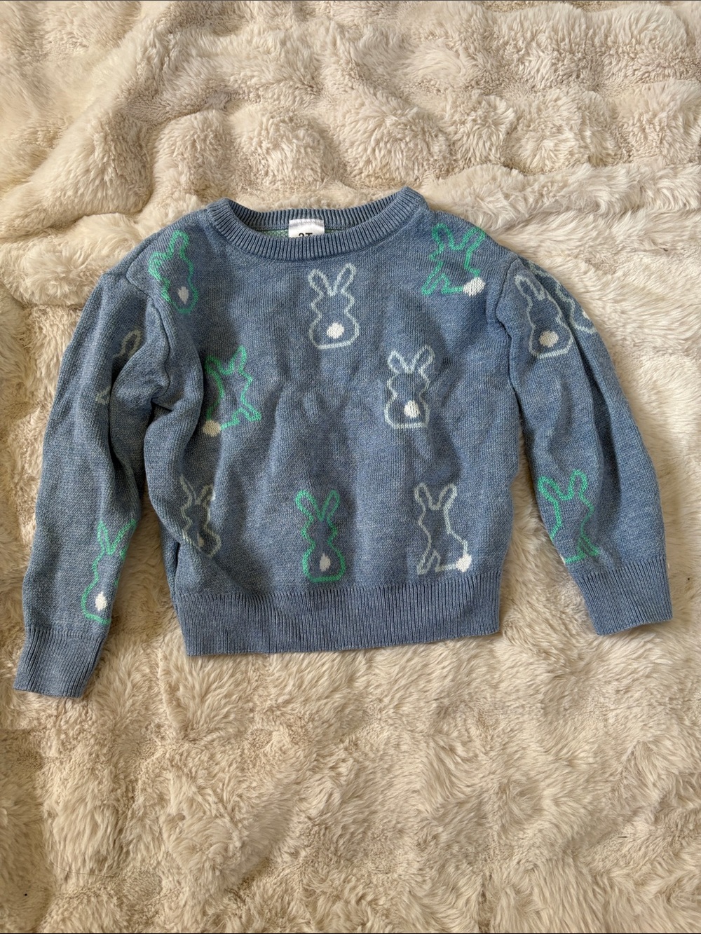 Little Sleepies Blue Bunny Motif Crewneck Sweater with Green and White Accents